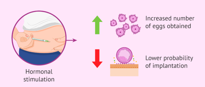 Imagen: Hormonal stimulation affects endometrial quality