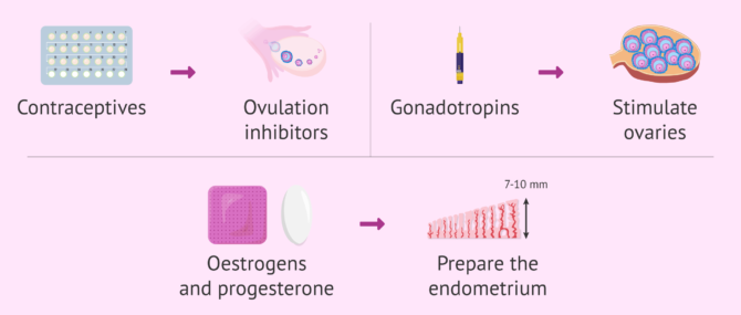 Imagen: faq-contraceptives-estrogens-progesterone-gonadotrophins