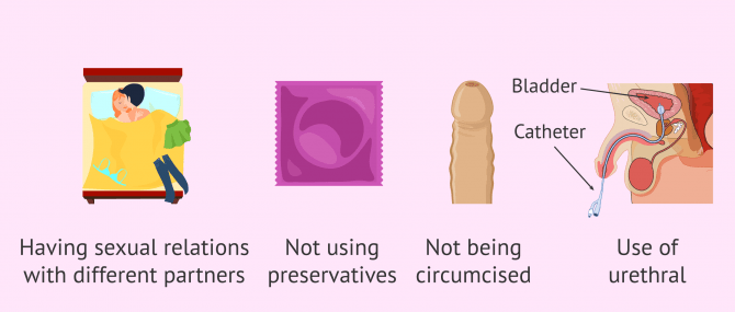 Imagen: Risk factors for inflammation of the testicles