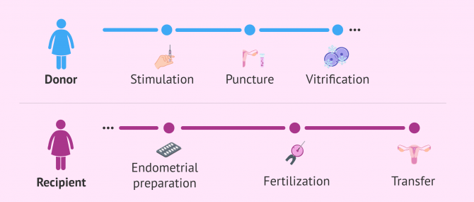 Imagen: Frozen egg donation