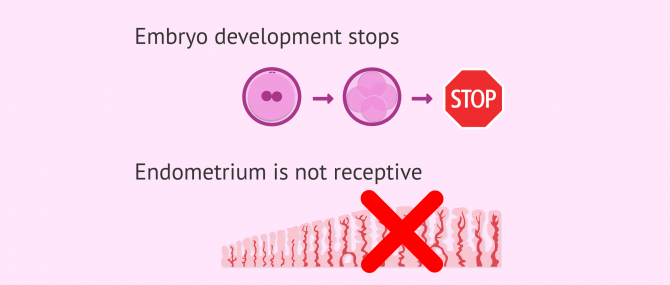 Imagen: reasons for cancelling embryo transfers