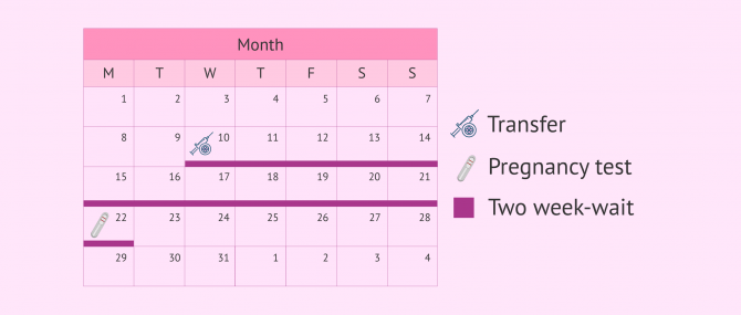 Imagen: Pregnancy test after IVF-ICSI