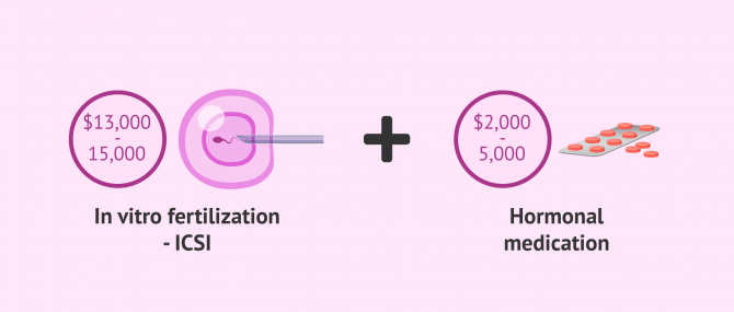 Imagen: How much is ICSI?