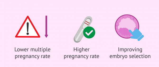 Imagen: Benefits of embryo culture in the Geri incubator