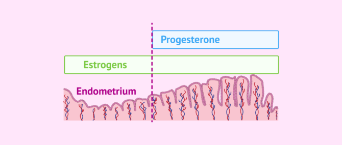 Imagen: What is endometrial receptivity?