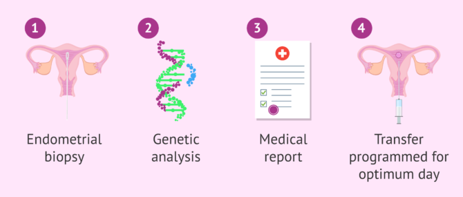 Imagen: What is the procedure for an ERA test?