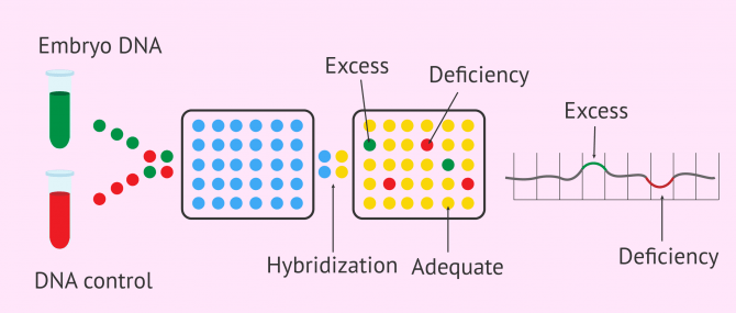 Imagen: Genetic analysis by CGH arrays