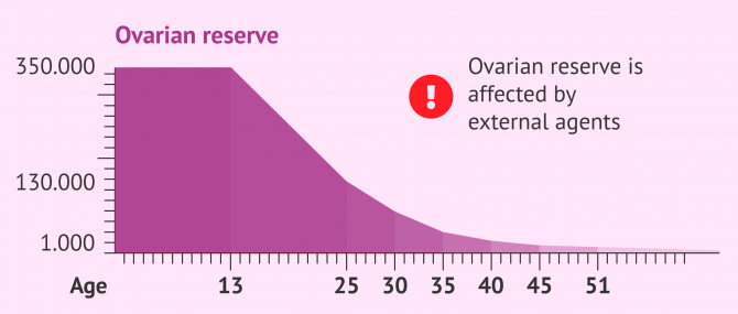 Imagen: Graphic illustration of a diminished egg count