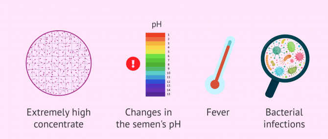 Imagen: Causes of sperm agglutination