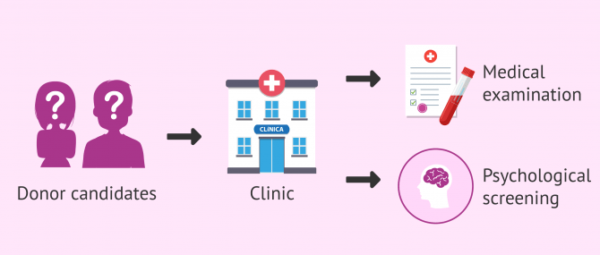 Imagen: How gamete donors are chosen