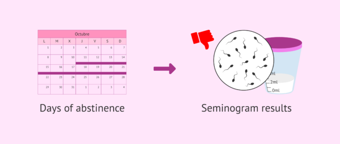 Imagen: Effects of sexual abstinence on semen quality