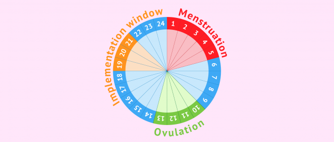 Imagen: What is the implementation window?