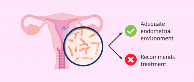 Imagen: Analysis of the endometrial microbiome