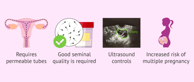 Imagen: What are the disadvantages of artificial insemination?