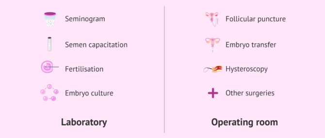 Imagen: Importance of the operating theatre and laboratory