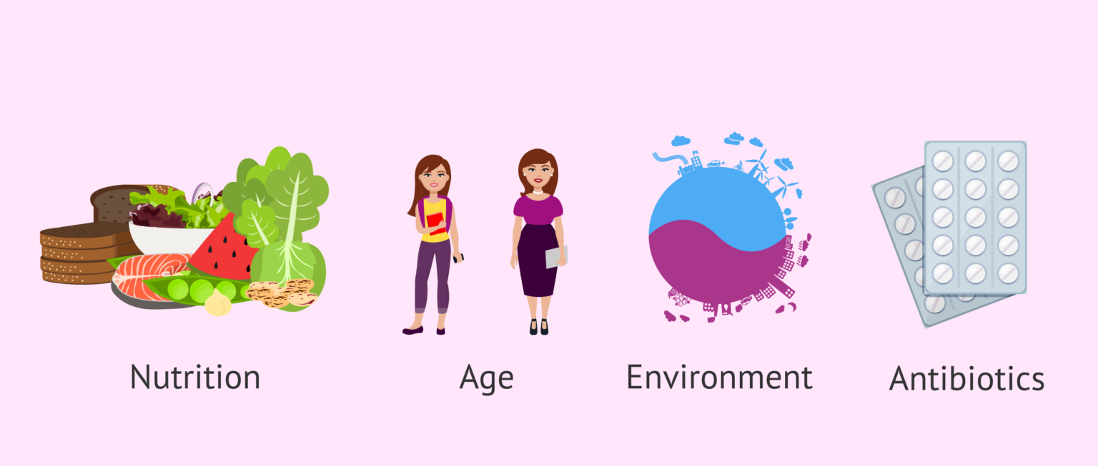 Factors influencing the microbiota