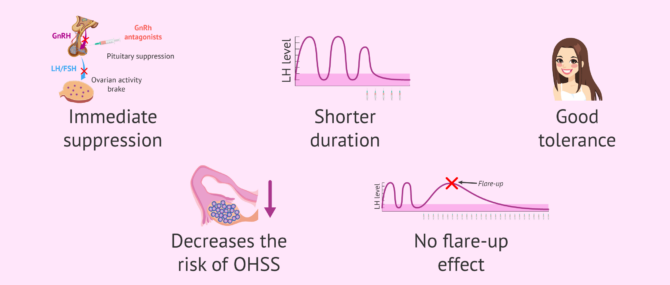 Imagen: Advantages of protocols with GnRH antagonists