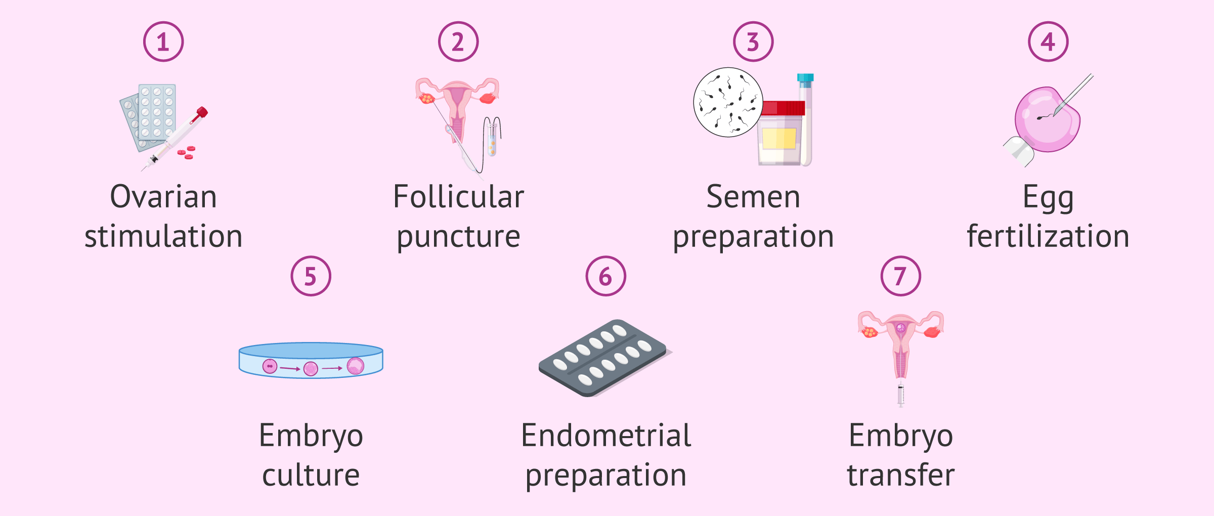 Imagen: Main steps of IVF