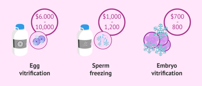 Imagen: Cost of gamete and embryo cryopreservation