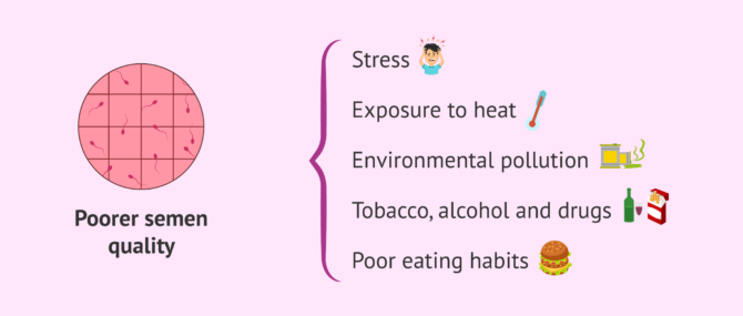 Imagen: Factors that diminish semen quality