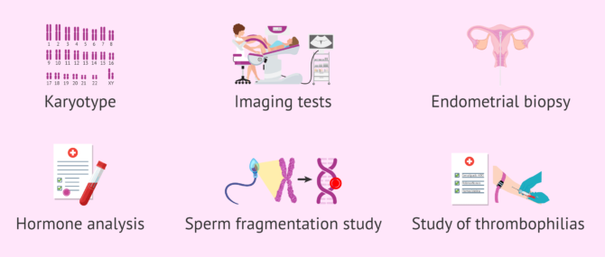 Imagen: Tests to diagnose the causes of recurrent miscarriages