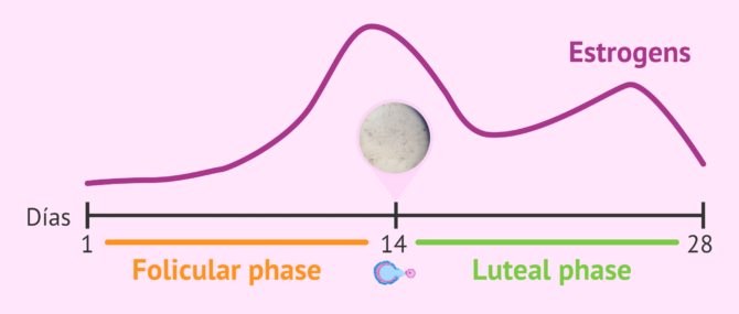 Imagen: What is a saliva observation test based on?