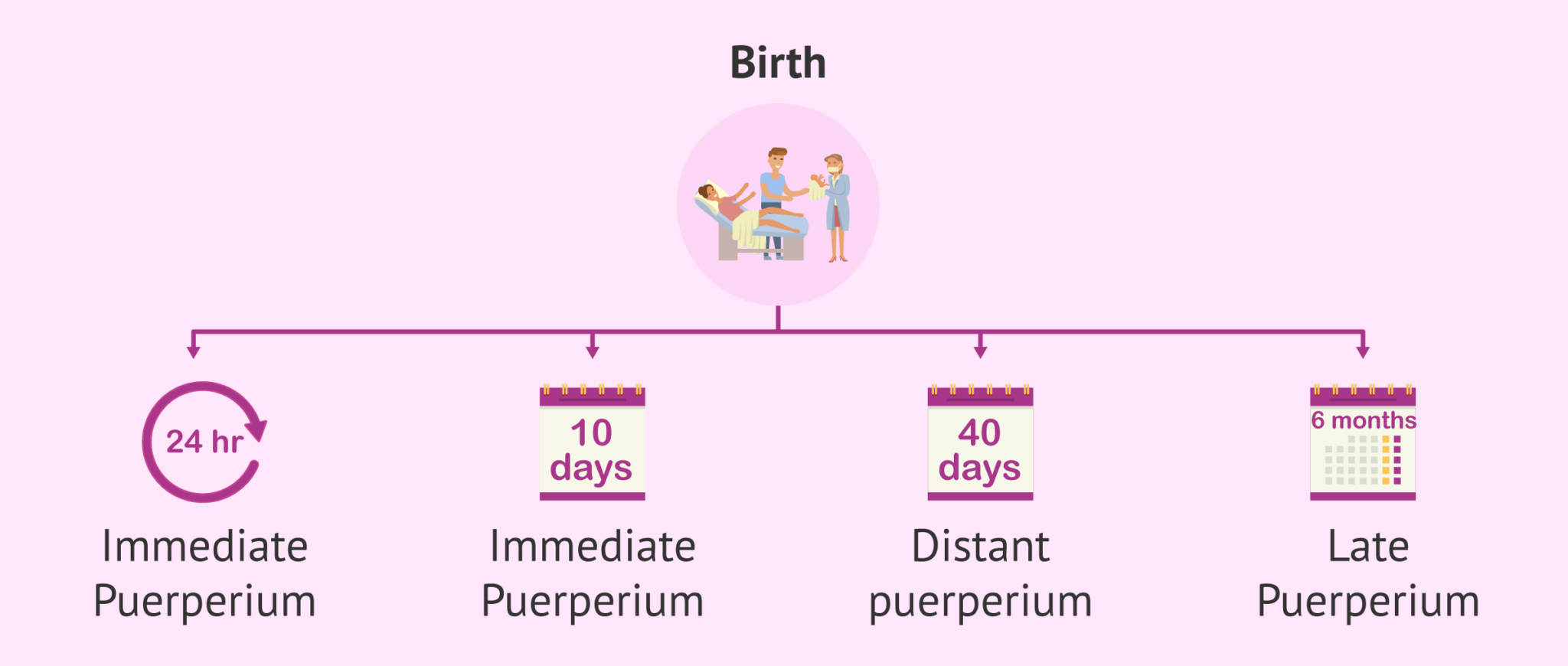 Puerperium Meaning In Telugu