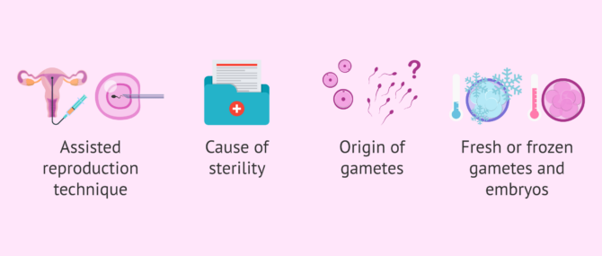 Imagen: Factors involved in the success of fertility treatments